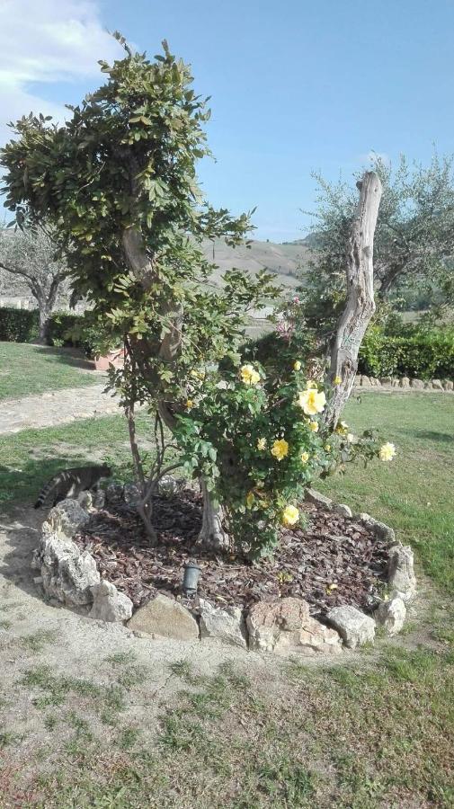 Agriturismo Casa Al Povero Volterra Eksteriør bilde